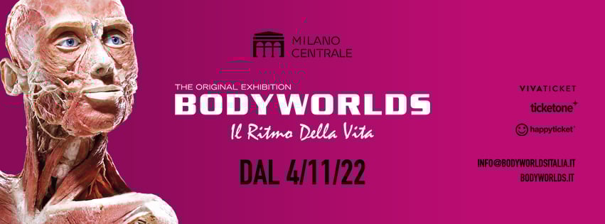 Body Worlds – Il Ritmo Della Vita